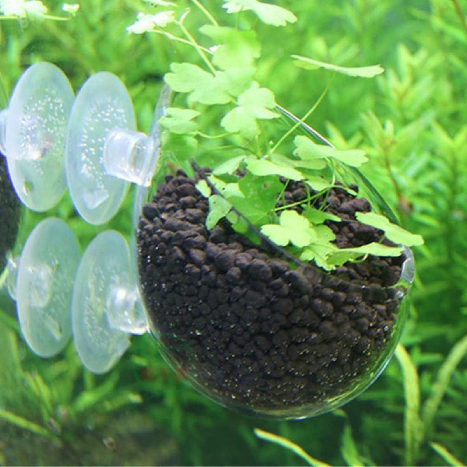 Support pour plantes d'aquariu - Badminton Live avis et prix