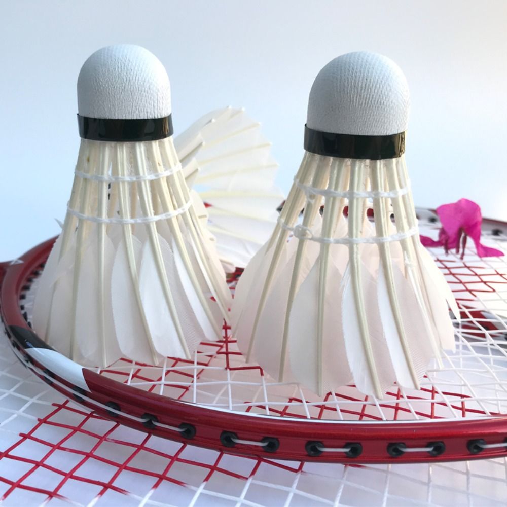 Volant de Badminton blanc, bal - Badminton Bwf avis et prix