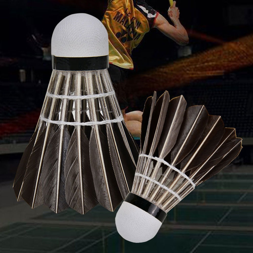 3/6/12 pièces Accessoires de b - Badminton Bwf avis et prix