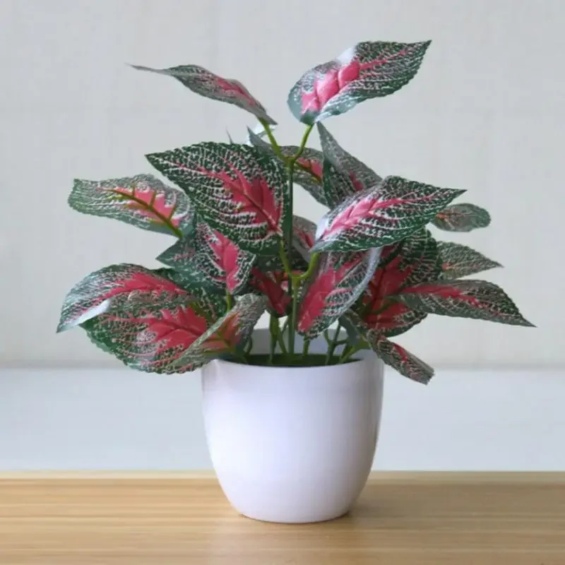 Plantes artificielles bonsaï f - Badminton Live avis et prix